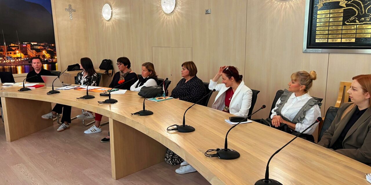 Panel rasprava o izazovima volontiranja